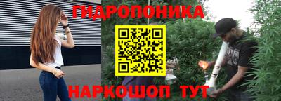 стафф Шебекино