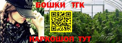 стафф Шебекино