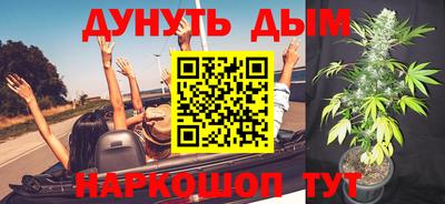 стафф Шебекино