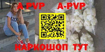 стафф Шебекино