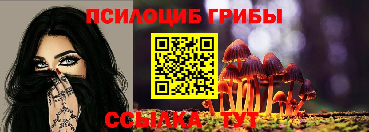 Псилоцибиновые грибы MAGIC MUSHROOMS Верхняя Салда